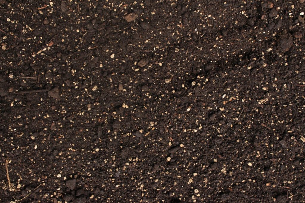 Premium lawn mix BSGM